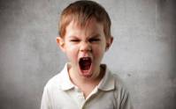 دانلود مبانی نظری و پیشینه تحقیق درباره ابراز و مهار خشم